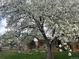 Charming home with a flowering tree in the front yard at 3010 Zinnia Ct, Golden, CO 80401