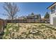 Large, partially grassed backyard featuring mature trees, a wooden fence, and sunny exposure at 690 Howe Ct, Castle Rock, CO 80104