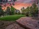 Beautiful backyard featuring a stone patio, large grassy area, mature trees, and meticulously landscaped surroundings at 291 Fairchild Dr, Highlands Ranch, CO 80126