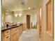Luxurious bathroom featuring a sauna, walk-in shower, and custom vanity with dark marble countertop at 291 Fairchild Dr, Highlands Ranch, CO 80126