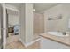 En suite bathroom featuring shower glass and an ample vanity area at 3762 White Rose Loop, Castle Rock, CO 80108