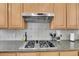 Close-up view of the kitchen stove and hood with granite countertops and tile backsplash at 6943 Saddleback Ave, Firestone, CO 80504