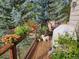 Relaxing deck with colorful flower boxes, outdoor seating, and a friendly dog enjoying the view at 31190 Cinnamonwood, Evergreen, CO 80439