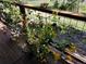 Cozy deck featuring vibrant flower vines, providing a touch of natural beauty to outdoor living space at 31190 Cinnamonwood, Evergreen, CO 80439