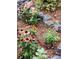 Charming landscaping with colorful flowers and natural stone accents, enhancing the outdoor beauty at 31190 Cinnamonwood, Evergreen, CO 80439