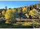 Scenic street view with golden aspen trees and a charming home nestled in the wooded hillside at 31190 Cinnamonwood, Evergreen, CO 80439
