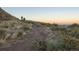 Scenic view of a natural dirt hiking trail surrounded by tall grass and foliage during a colorful sunset at 2290 S Braun Way, Lakewood, CO 80228