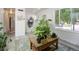 Bright living room with light gray flooring, multiple windows, neutral walls, and several potted plants at 7936 Eaton St, Arvada, CO 80003