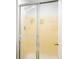 Shower with patterned glass doors for privacy, complete with silver frame and handle at 6156 W Jefferson Ave, Denver, CO 80235