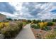 Scenic community green space with a paved walkway and lush landscaping at 5223 Gray Wolf Ln, Castle Rock, CO 80104