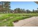 Expansive backyard with lush grass, mature trees, and a concrete patio with fire pit, perfect for outdoor entertaining at 679 S Pearl St, Elizabeth, CO 80107