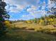 Picturesque landscape showcasing an open meadow surrounded by lush trees under a partly cloudy sky at 10858 Norton Ave, Conifer, CO 80433