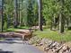 A deer crosses a road surrounded by trees, illustrating the natural beauty of the property at 10858 Norton Ave, Conifer, CO 80433
