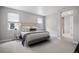 Bright bedroom featuring plush bed, neutral palette, carpet flooring and large windows for natural light at 7040 Homeplace St, Castle Rock, CO 80108