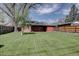 Spacious backyard with mature trees and fencing at 782 Holly St, Denver, CO 80220