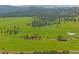 Expansive aerial view of the property featuring rolling green hills, mature trees, and a home with a red roof at 5939 Lone Peak Dr, Evergreen, CO 80439