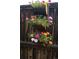 A close-up of vibrant flowers in wooden planters attached to a rustic wooden fence at 9309 W 87Th Pl, Arvada, CO 80005