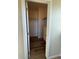 Walk-in closet with shelving and hardwood floors at 7414 E 28Th Ave # 4, Denver, CO 80238