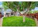 Backyard features a well-maintained lawn, mature trees, a patio area, and a storage shed at 12545 Elm St, Thornton, CO 80241