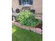 Well-maintained front yard featuring a beautiful garden bed and a charming bench, enhancing curb appeal at 1300 Kennedy Dr, Northglenn, CO 80234