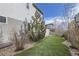 Well-maintained backyard with lush grass and mature trees at 1558 White Violet Way, Louisville, CO 80027