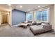 Cozy basement living room with a blue accent wall and two large windows offering ample natural light at 1558 White Violet Way, Louisville, CO 80027