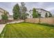 Large, well-kept lawn in the backyard, bordered by a wooden fence for privacy at 4426 Windmill Dr, Brighton, CO 80601