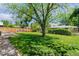 Lush green backyard with mature tree providing shade, complemented by a privacy fence and inviting outdoor space at 5920 Garrison St, Arvada, CO 80004