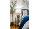 Bedroom accent featuring a woven lamp on a bedside table and a tall potted plant enhancing the room's aesthetic at 5920 Garrison St, Arvada, CO 80004