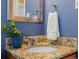 Stylish bathroom vanity with a granite countertop, white sink, decorative mirror, and a potted plant at 3580 Krameria St, Denver, CO 80207