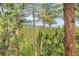 Beautiful view of trees and mountains at 166 S Rainbow Trl, Evergreen, CO 80439
