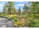 Secluded backyard with a fire pit, seating area, and mature trees, creating a serene outdoor space at 166 S Rainbow Trl, Evergreen, CO 80439