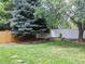Spacious backyard with green lawn, large evergreen tree, and perimeter privacy fencing at 5695 W 109Th Cir, Westminster, CO 80020