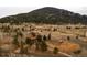 An aerial view of home, neighborhood, and picturesque forested mountain scenery at 26167 De Berry St, Conifer, CO 80433