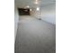 Spacious basement featuring carpeting, white walls, and a dark brick fireplace at 12024 W Maryland Dr, Lakewood, CO 80228