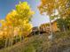 Exterior view of a well-maintained home with deck surrounded by Aspen trees in Autumn at 10896 Timothys Dr, Conifer, CO 80433