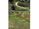 Scenic backyard featuring a lush green lawn with deer grazing peacefully and a walking path at 749 Bishop Pine Way, Castle Rock, CO 80104