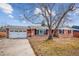Charming front exterior of a brick home with an attached garage and a large tree in the yard at 7310 S Sheridan Ct, Littleton, CO 80128