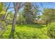 Secluded backyard with green grass, mature trees, and a wooden fence for privacy at 4056 E Orchard Rd, Centennial, CO 80121