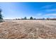 Expansive view of grassy land under a bright blue sky with scattered trees on a sunny day at 7746 S Harrison Cir, Centennial, CO 80122