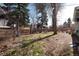 Large backyard with mature trees, fence line, and garden area, providing privacy and space for outdoor enjoyment at 6930 S Delaware St, Littleton, CO 80120