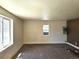 Inviting living room with cozy carpeting, fresh paint, and a hanging plant, creating a welcoming atmosphere at 3798 S Grant St, Englewood, CO 80113