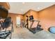 A fully-equipped home gym including a treadmill, weight rack, TV, and ample space at 19375 Sherwood Trl, Monument, CO 80132