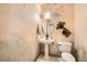 Charming powder room with pedestal sink, decorative wallpaper, and unique floral accents at 19375 Sherwood Trl, Monument, CO 80132