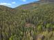 A vast forest blankets the landscape, showcasing the home's private and secluded setting at 8905 Carol Ln, Conifer, CO 80433