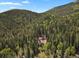 Secluded cabin surrounded by lush forest, creating a peaceful and private retreat at 8905 Carol Ln, Conifer, CO 80433