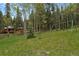 Home features a large yard with mature trees and a play structure at 8905 Carol Ln, Conifer, CO 80433