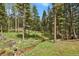 Scenic creek winding through a wooded, landscaped property at 8905 Carol Ln, Conifer, CO 80433
