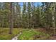 Serene creek flowing through a lush, wooded property at 8905 Carol Ln, Conifer, CO 80433