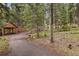 Gravel driveway with covered parking leading to a wooded homesite at 8905 Carol Ln, Conifer, CO 80433